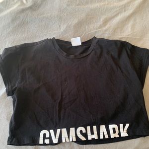 Gymshark Fraction Crop Top